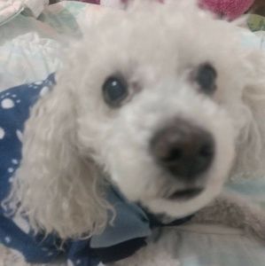 Meet your Posher, Jae